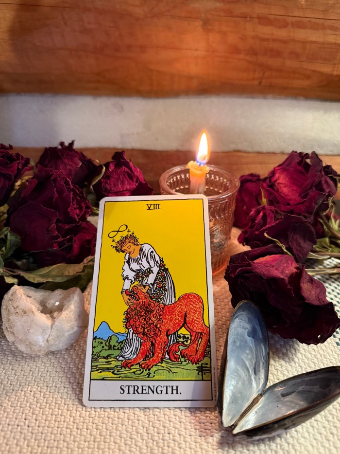 The strength tarot card set up against some roses and a lit candle